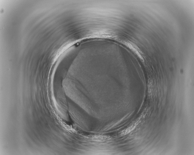 X0000086881077200705141404