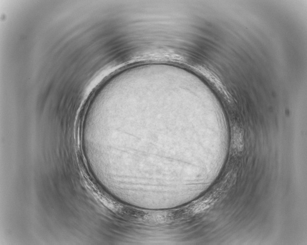 X0000086881078200705141404