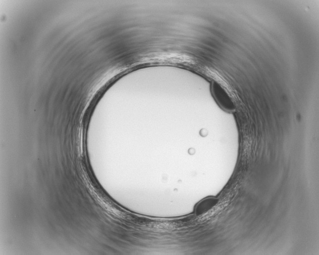 X0000086881079200705141404