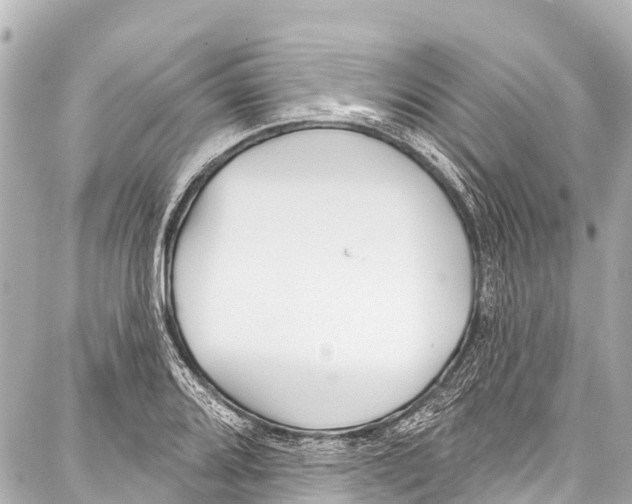 X0000086881080200705141404