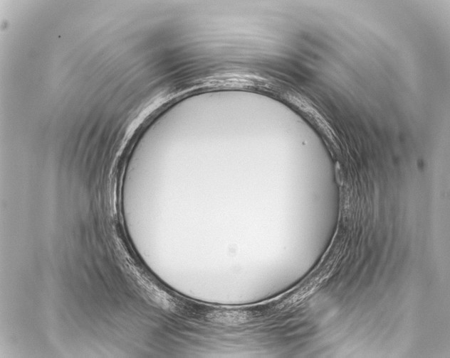 X0000086881083200705141404