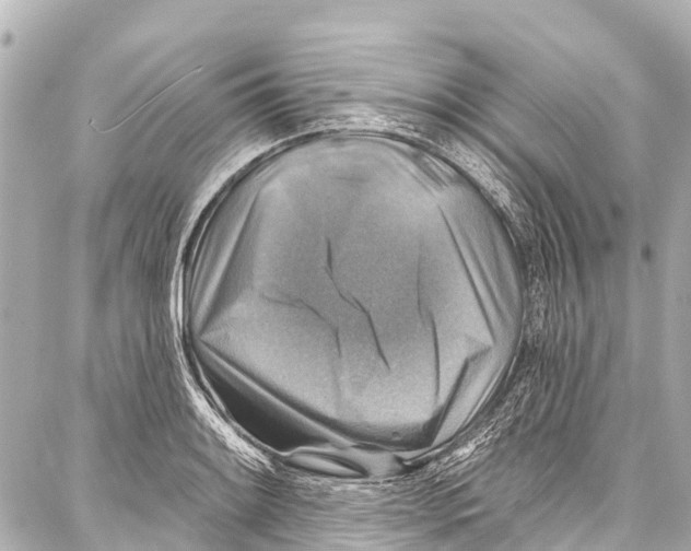 X0000086881084200705141404