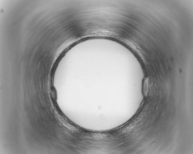 X0000086881085200705141404