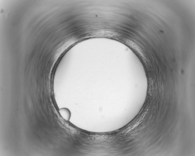 X0000086881087200705141404