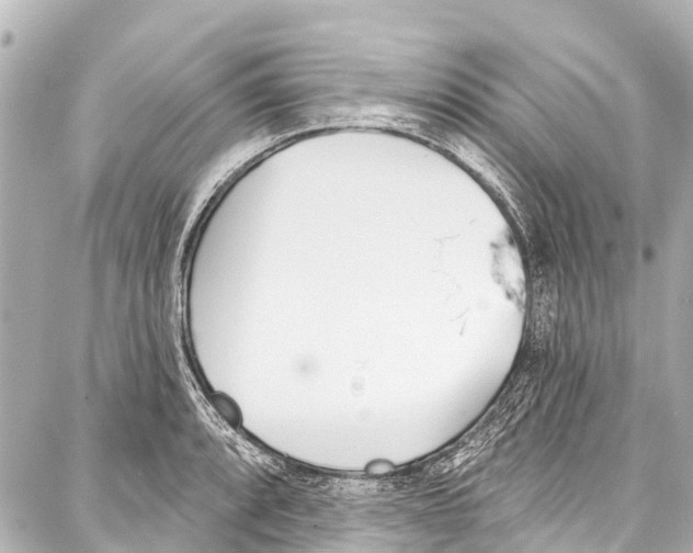 X0000086881088200705141404