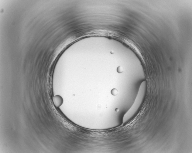 X0000086881091200705141404