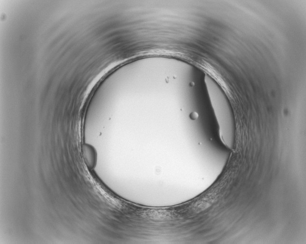 X0000086881092200705141404