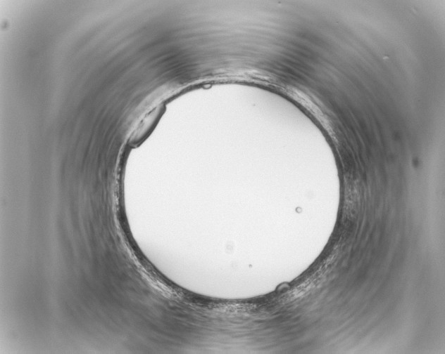 X0000086881093200705141404