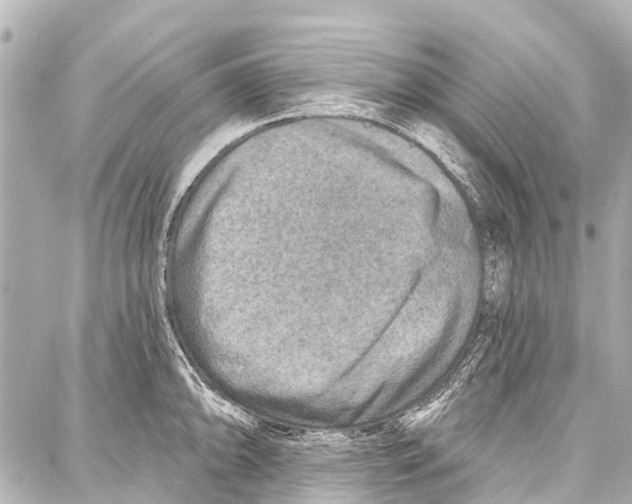 X0000086881094200705141404