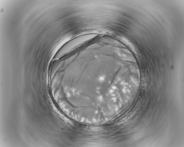 X0000086881095200705141404