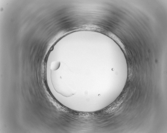 X0000086881099200705141404