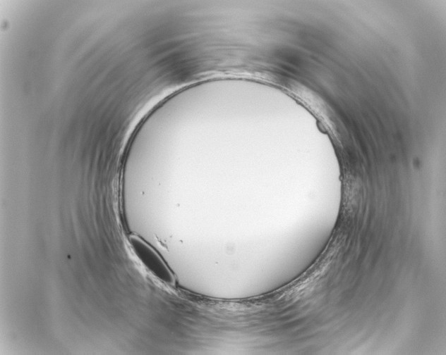 X0000086881100200705141404