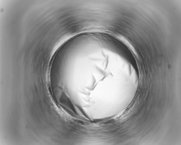 X0000086881101200705141404