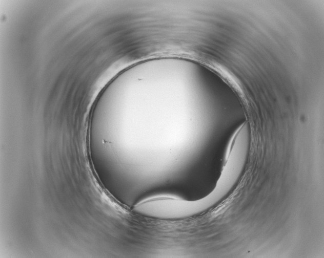 X0000086881102200705141404