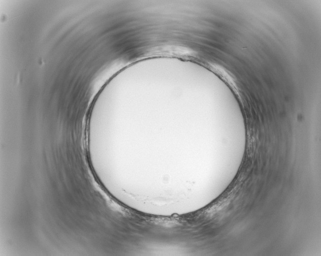 X0000086881103200705141404