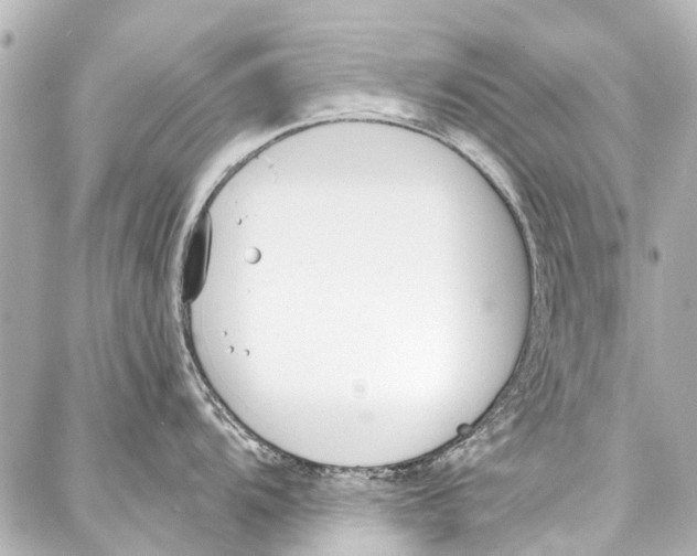 X0000086881104200705141404