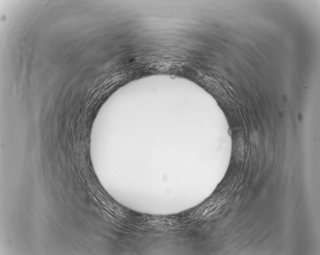 X0000086881105200705141403