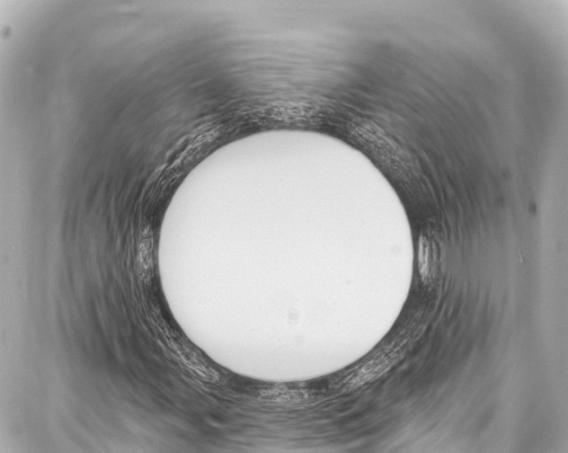 X0000086881107200705141403