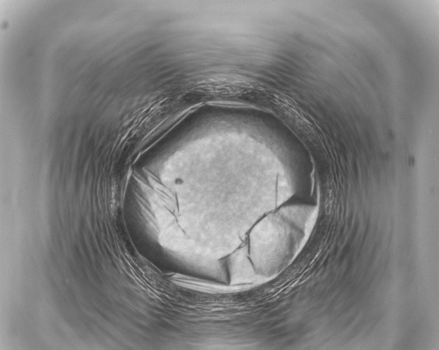 X0000086881108200705141403