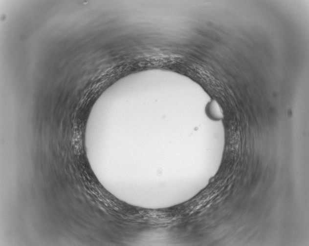 X0000086881109200705141403