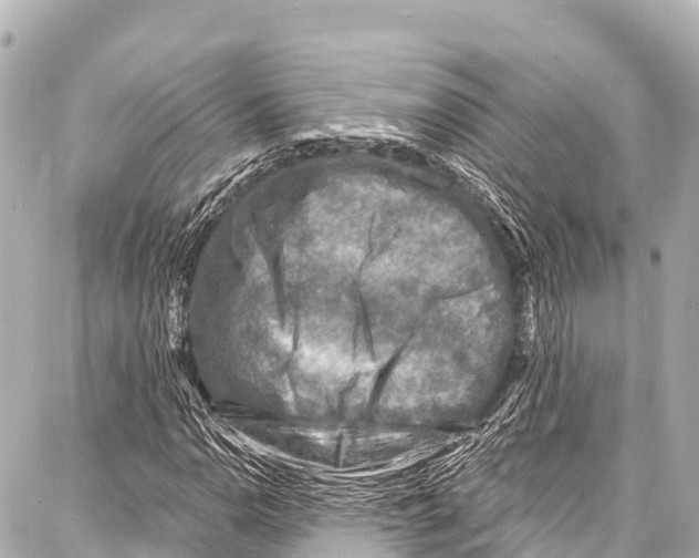 X0000086881110200705141403