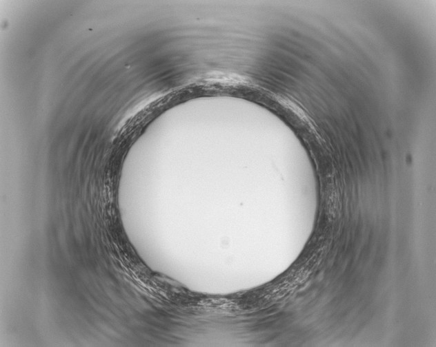 X0000086881112200705141403