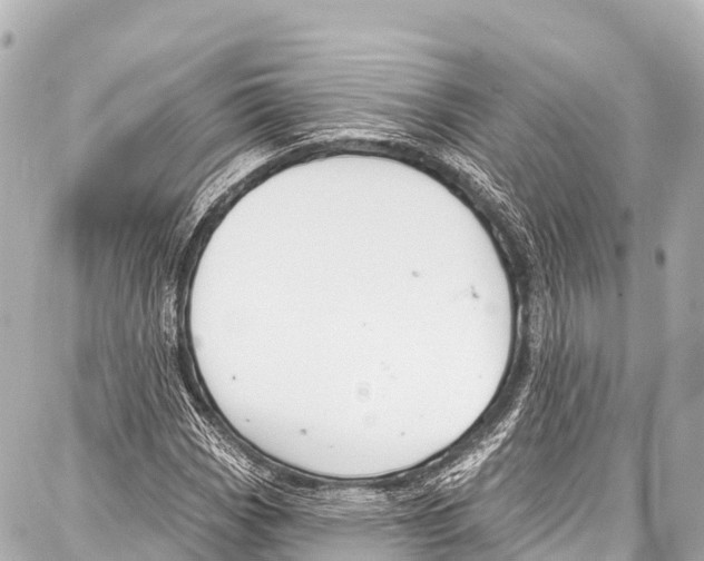 X0000086881113200705141403