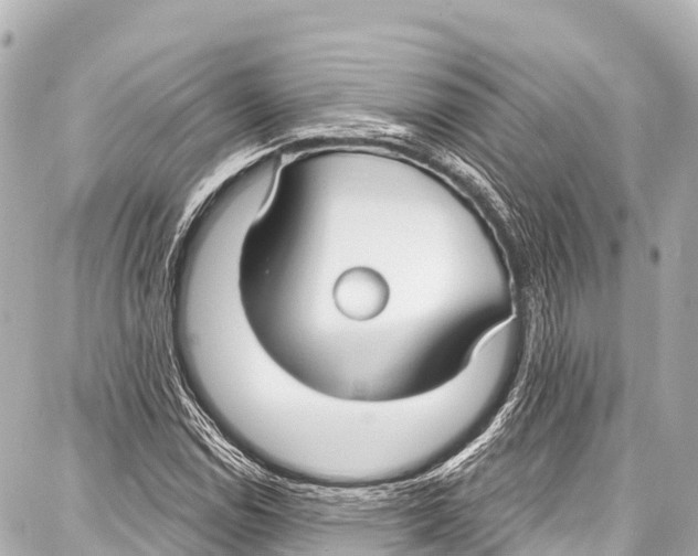 X0000086881114200705141403