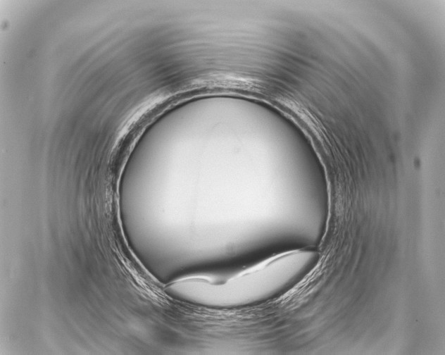 X0000086881115200705141403