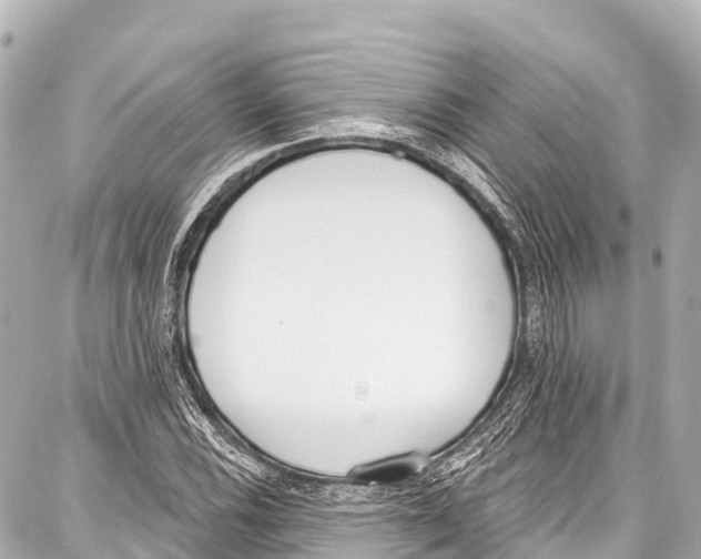 X0000086881116200705141403