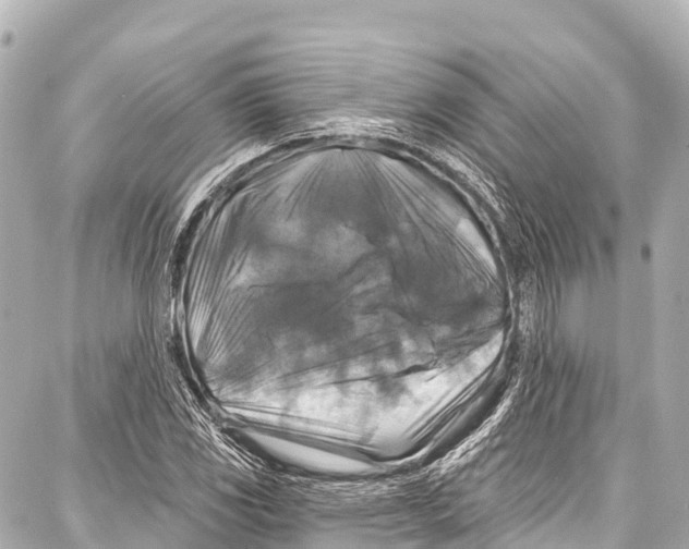 X0000086881117200705141403