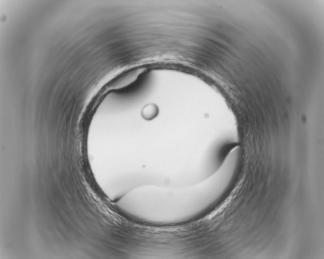 X0000086881118200705141403