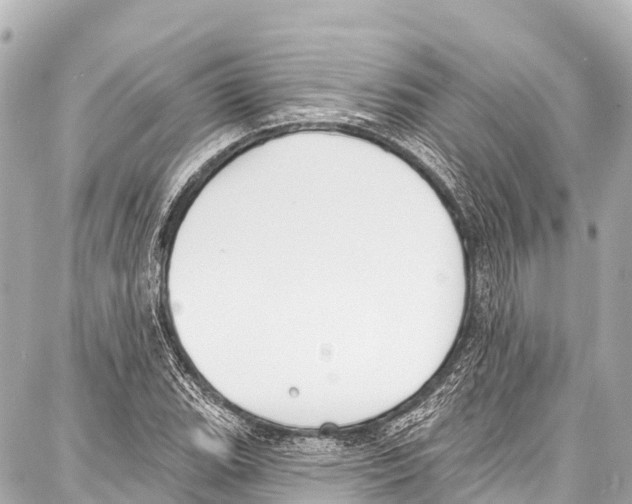 X0000086881119200705141403