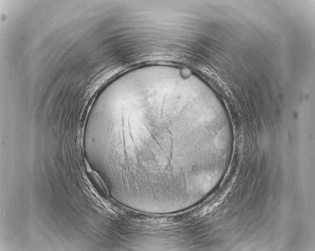 X0000086881121200705141403