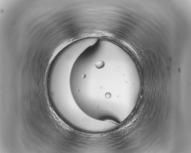 X0000086881122200705141403