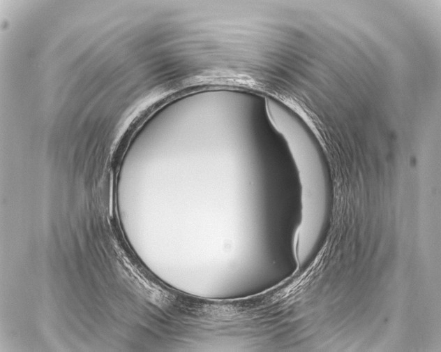 X0000086881123200705141403