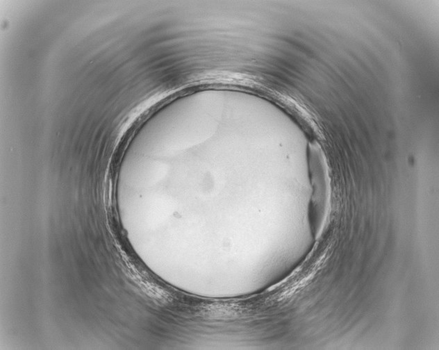 X0000086881125200705141403