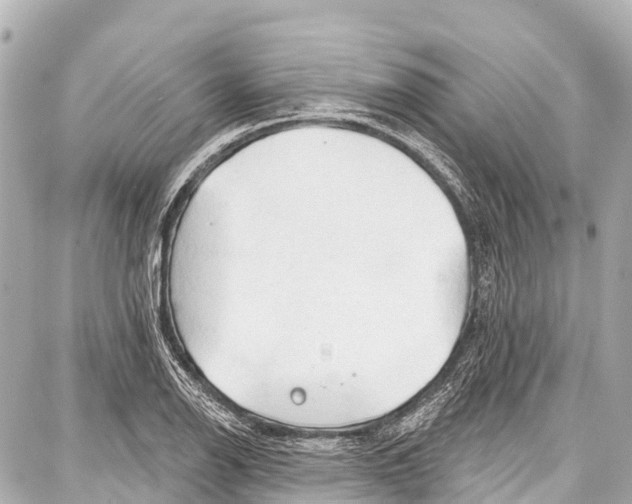 X0000086881126200705141403