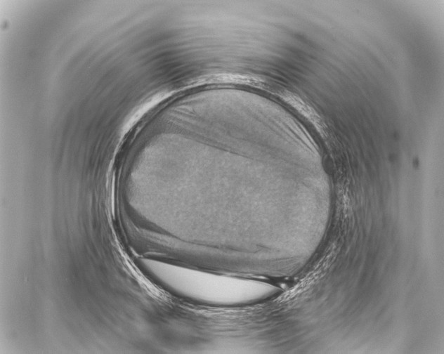 X0000086881127200705141403