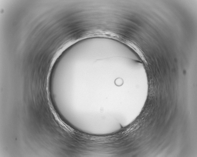 X0000086881128200705141403