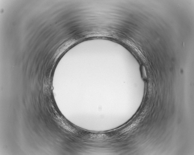 X0000086881129200705141403