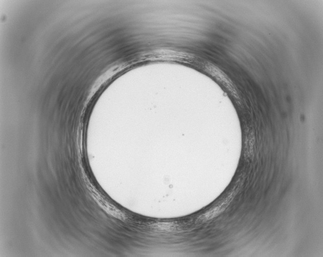 X0000086881130200705141403