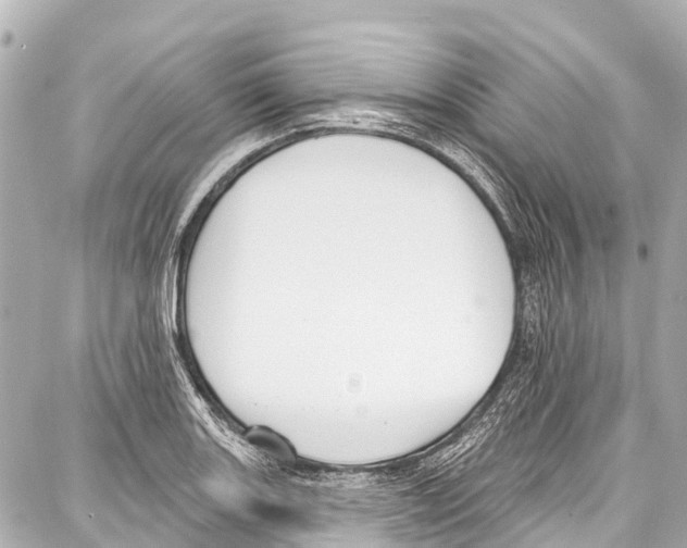 X0000086881131200705141403