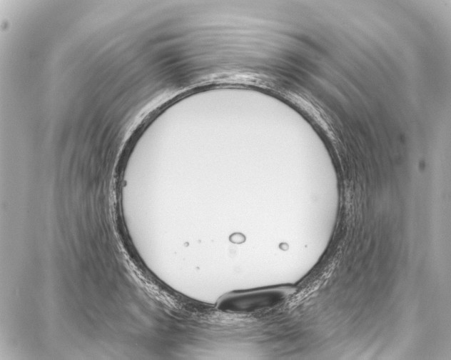 X0000086881133200705141404