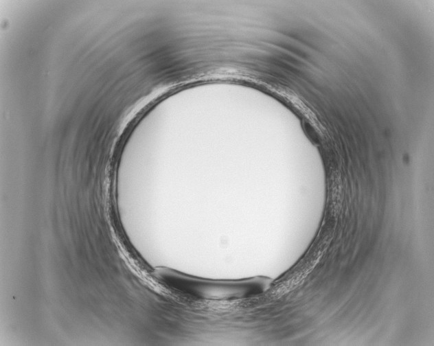 X0000086881134200705141404