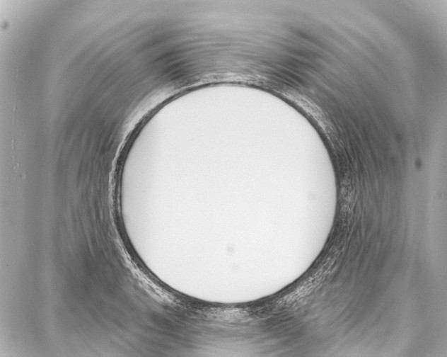 X0000086881135200705141404