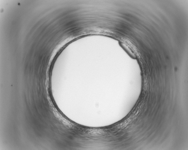 X0000086881136200705141404