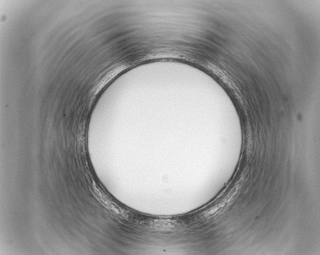 X0000086881137200705141404