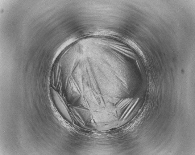 X0000086881138200705141404