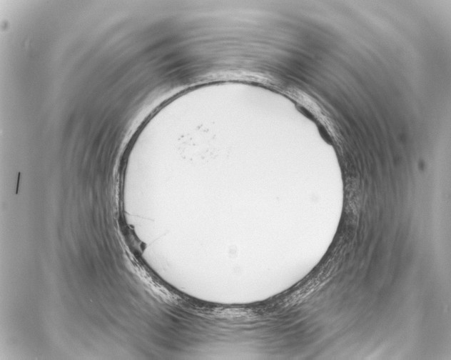 X0000086881140200705141404